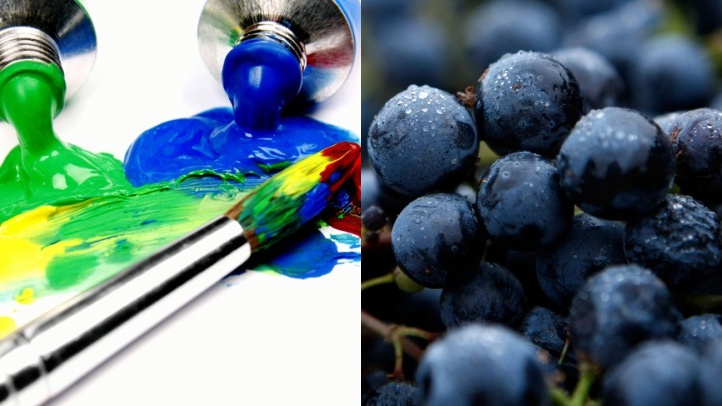 napaartshutterstockgetty
