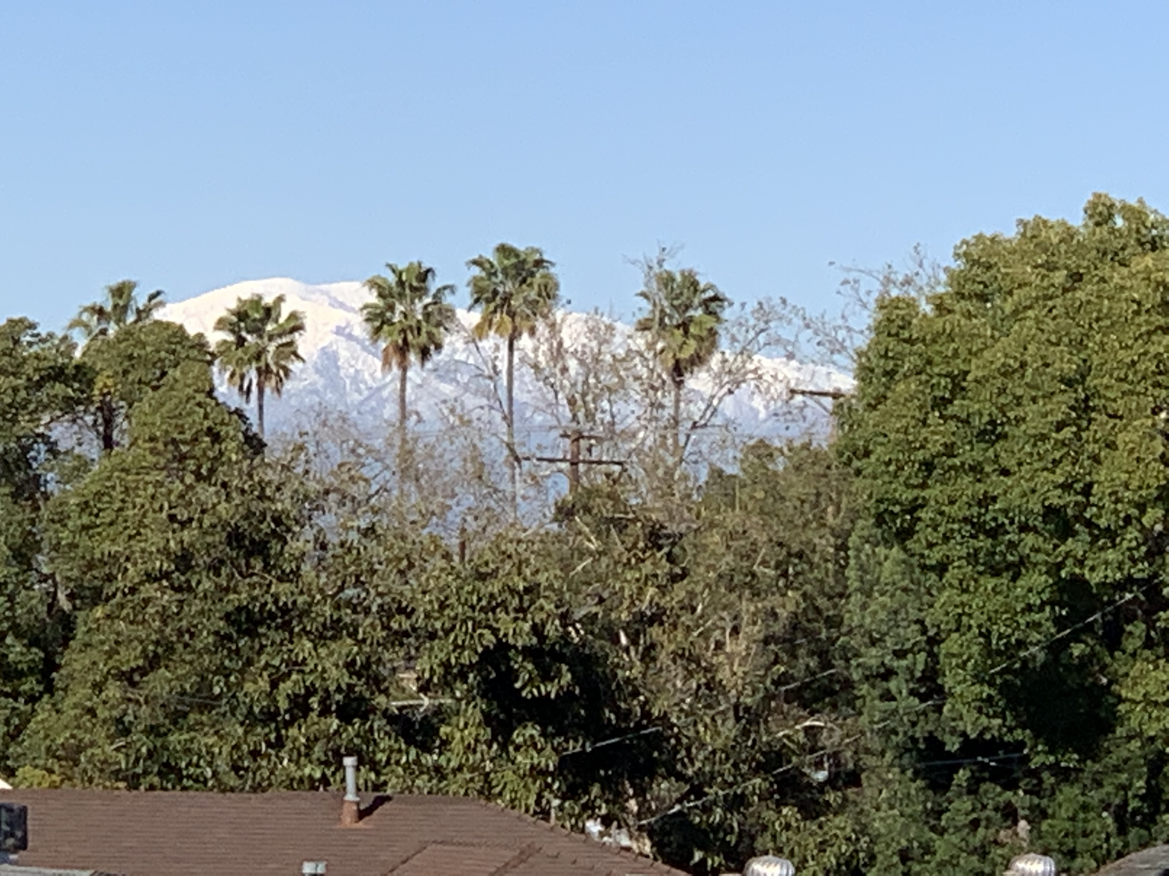 Snow-capped mountains are seen behind palm trees in Orange.