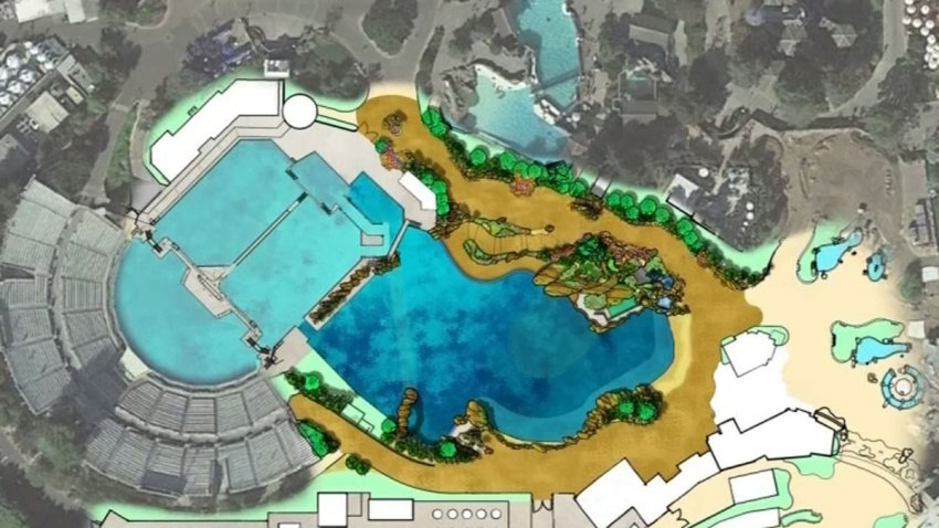 orca-exhibit-changes2