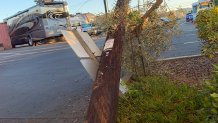 pole down allied gardens 2 101619