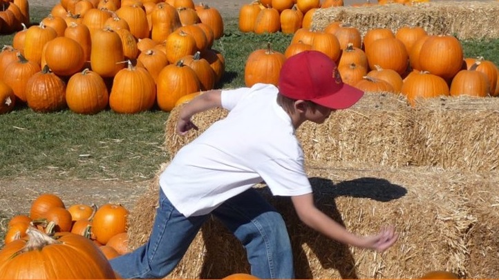 pumpkinbowlbighorse