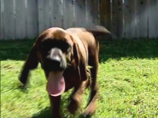 WTVJ_000000026778171_1200x675_821556291999.jpg