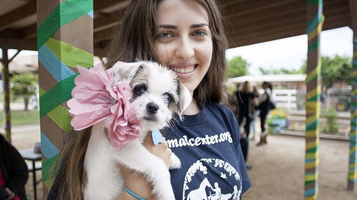 puppypromhelenwoodward1234