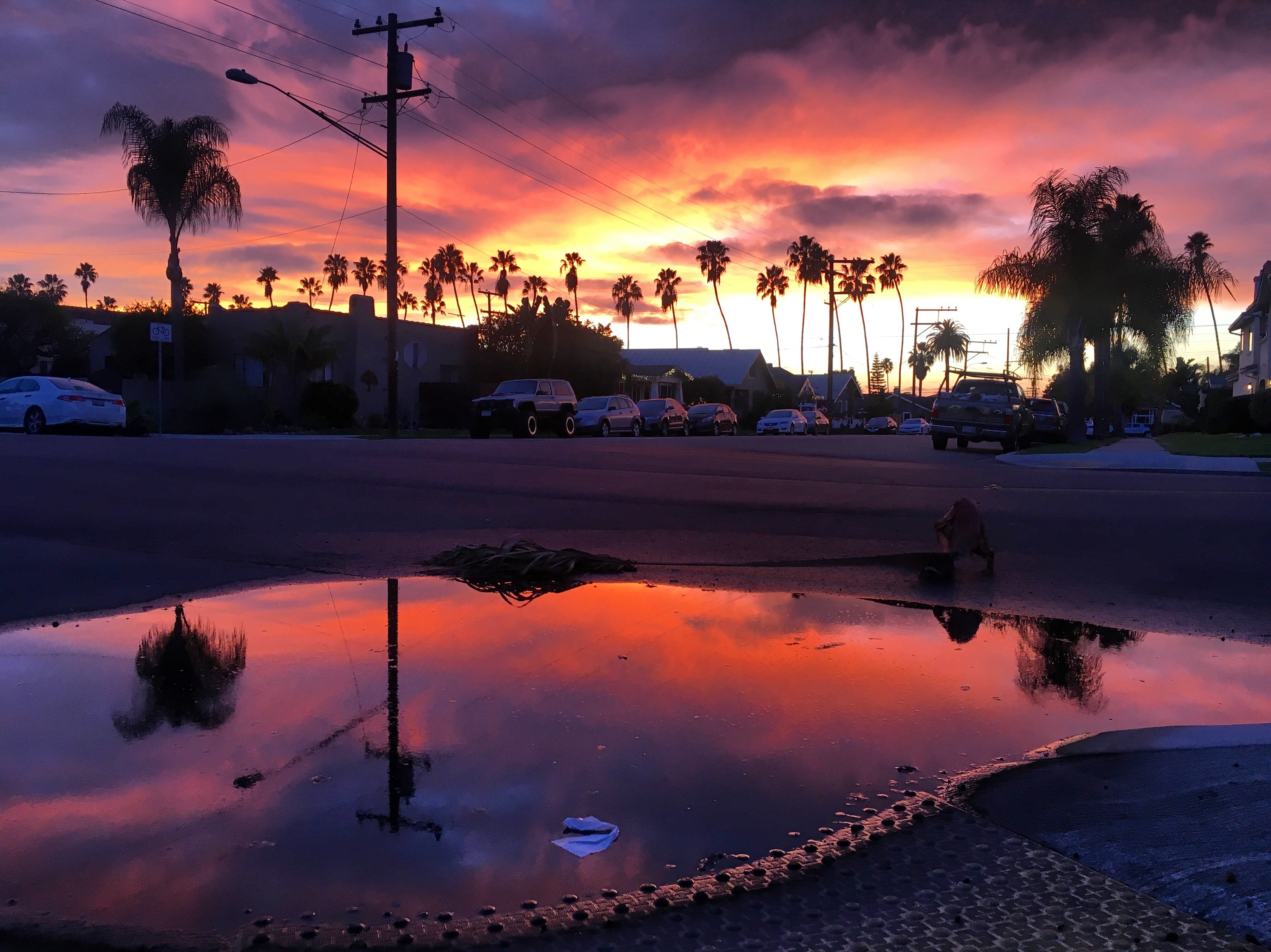 San Diego Sunsets of 2020 NBC 7 San Diego