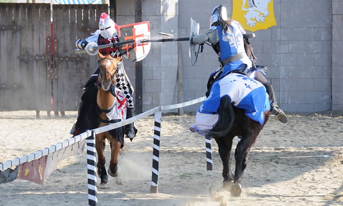 renfairjoust12