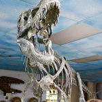 Fin de una era: Amado Museo Escondido Dino para obtener el obturador