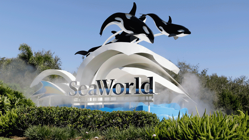 Seaworld San Diego Legoland San Diego Zoo Safari Park To Shut Down Amid Coronavirus Pandemic Nbc 7 San Diego