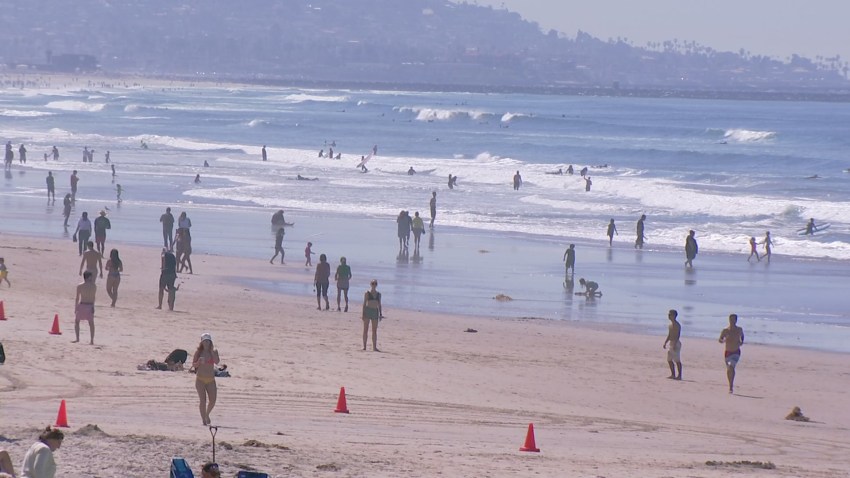 Stingrays Out In Full Force In Warm San Diego Waters Lifeguards