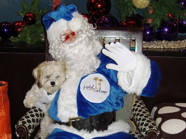 santapawsedited2