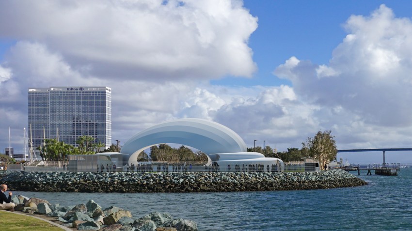 sd symphony tight crop