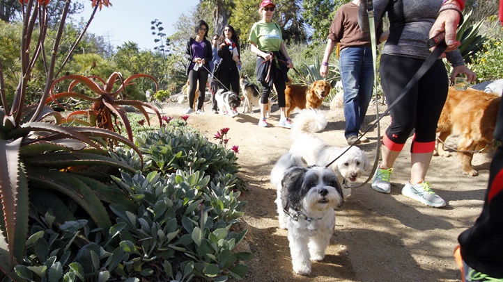 knbc-jane-fonda-beverly-hills-house (34)