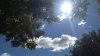 Warmer, milder weather expected in San Diego County this week