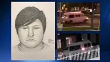SDPD released a sketch and images of a sex assault suspect and his van.
