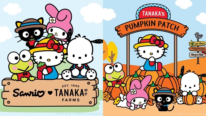 tanakasanrio93232