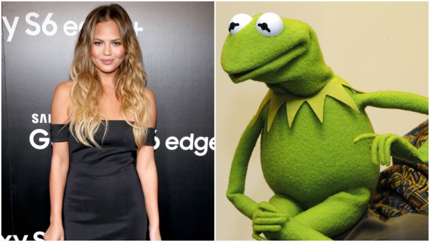 teigenkermit