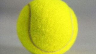 tlmd_tennis_ball_484x363