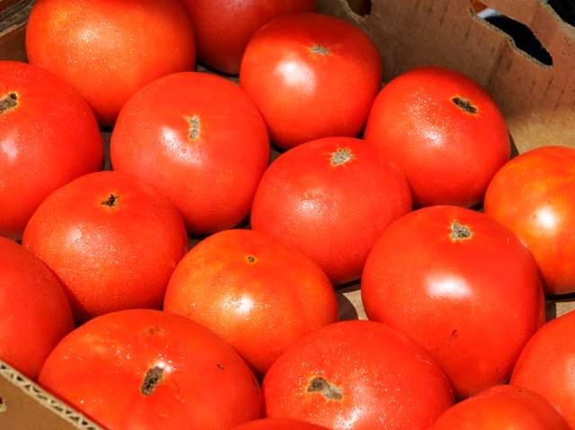 tomato.jpg