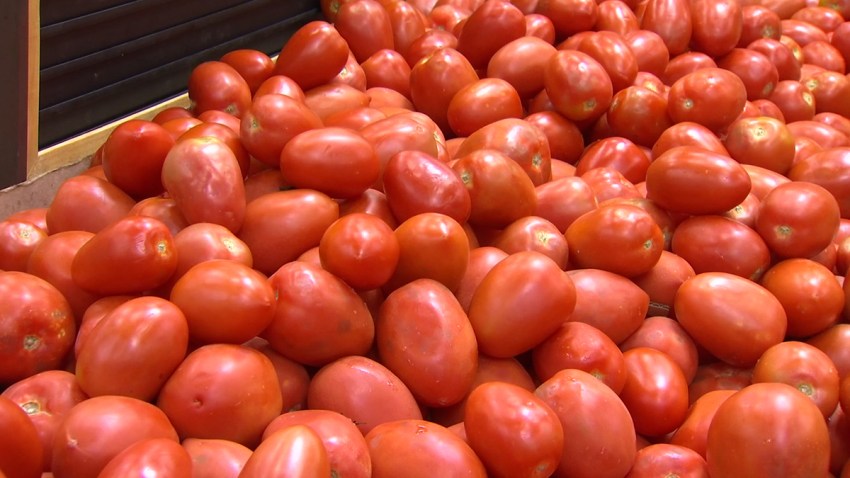 tomatoes-generic-060619