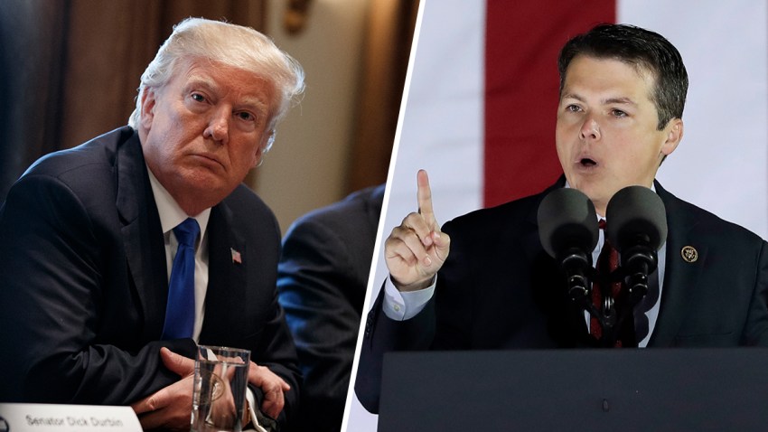 trump-boyle