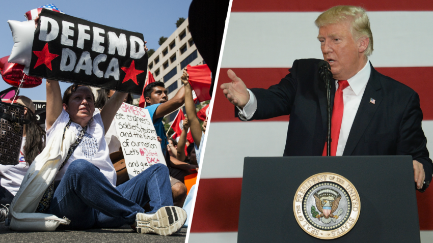 trump daca split