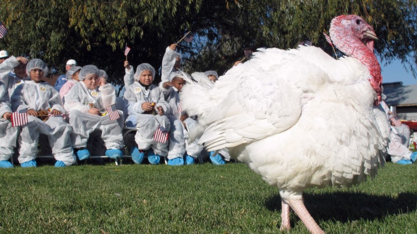 turkeypresident_1200x675