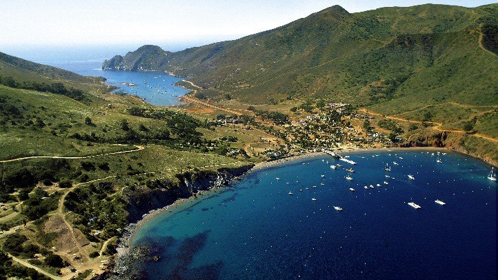 Youth Boater Hospitalized After Shark Bite Near Catalina Island Boy Scout Camp - Vimarsana News