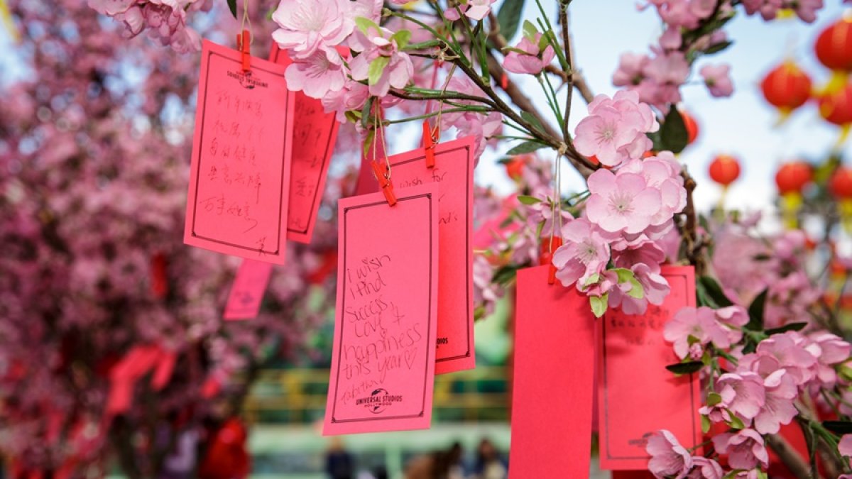 Carlsbad Chinese Lunar New Year Celebration