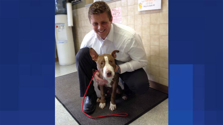 washington dog found