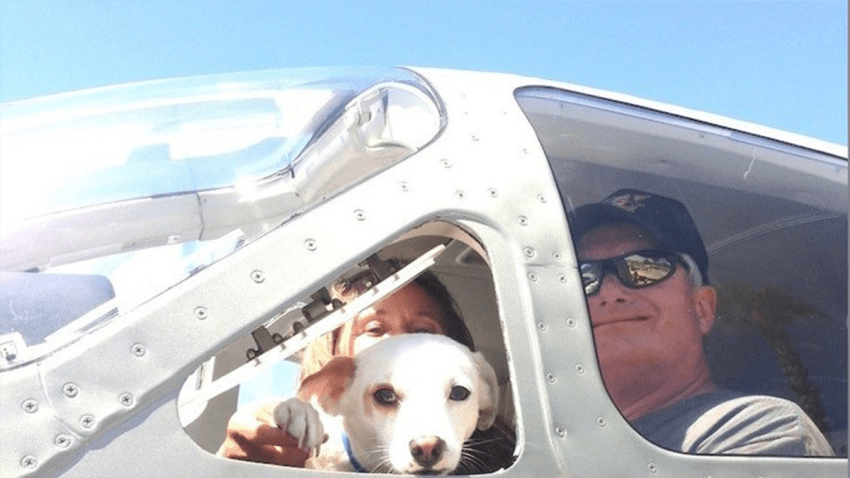 wings of rescue