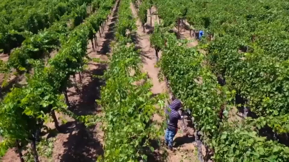 Mexican Workers Send Home Huge Amounts Of Money Amid Virus Nbc 7 San Diego