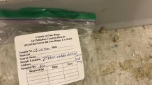 Asbestos Found Inside 101 Ash Street