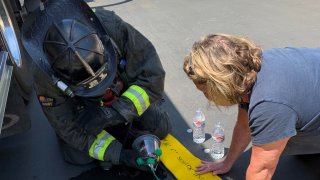 Cat Rescue Oceanside Fire