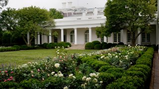 A view of the restored Rose Garden is seen at the White House in Washington