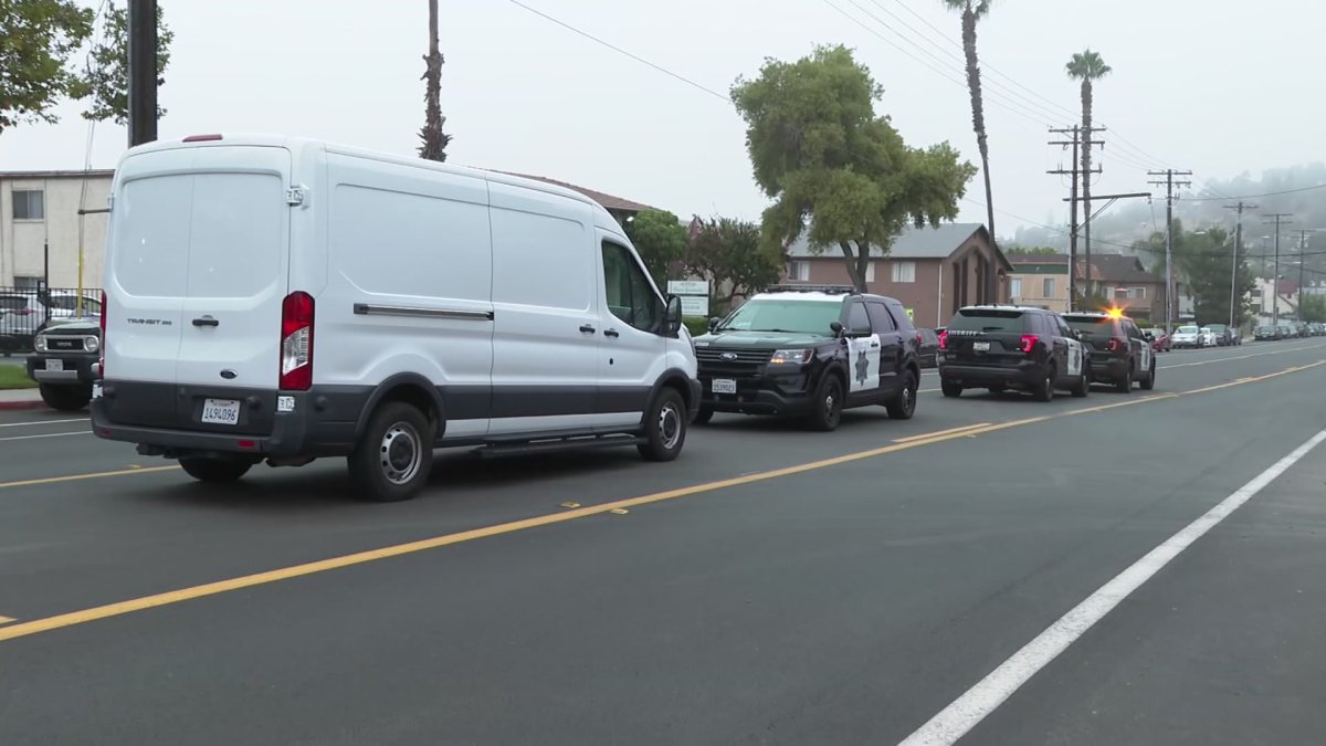 Woman Arrested in Connection With Fatal Stabbing in Spring Valley NBC