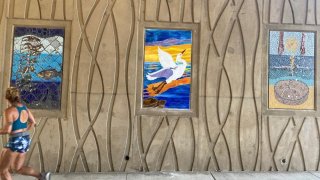 "Encinitas Up Close" captures the essence of the coastal city and can be seen at the pedestrian path under Interstate 5 at Santa Fe Drive and Encinitas Boulevard.