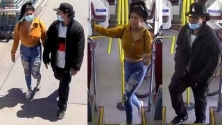 Fashion-Valley Burglary-Suspects