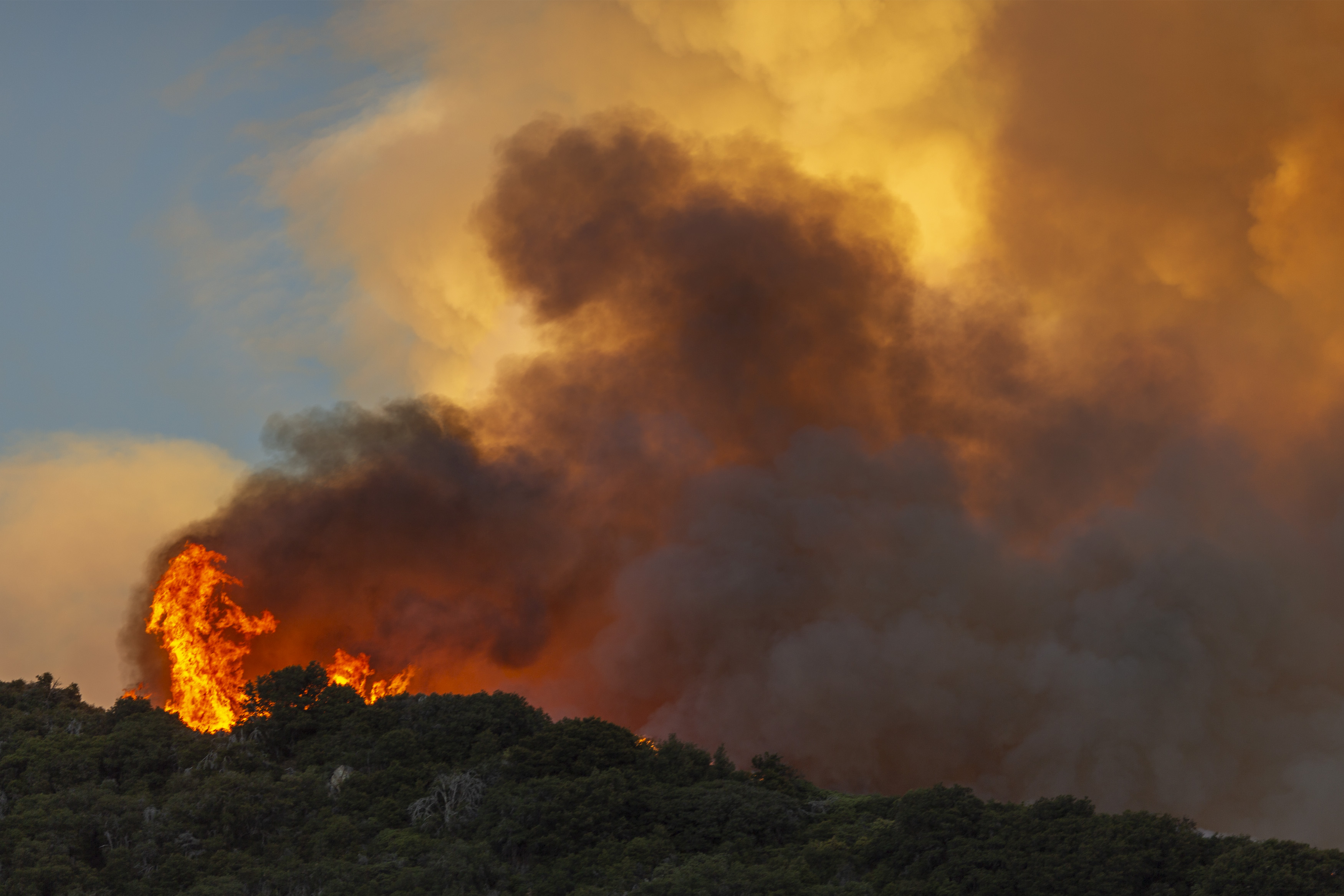 CHERRY VALLEY, CA – AUGUST 01: Flames and heavy smoke approach on a western front of the Apple Fire, consuming brush and forest at a high rate of speed during an excessive heat warning on August 1, 2020 in Cherry Valley, California. The fire began shortly before 5 p.m. the previous evening, threatening a large number of homes overnight and forcing thousands to flee before exploding to 12,000 acres this afternoon, mostly climbing the steep wilderness slopes of the San Bernardino Mountains.  (Photo by David McNew/Getty Images)