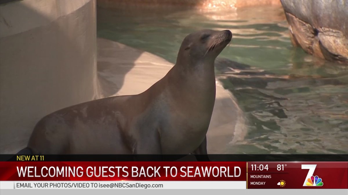 seaworld and zoo san diego