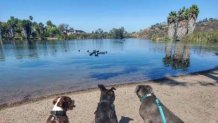 The terrific trio pose in front of a pond.