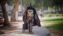 A man dressed as Batman pulls a small wagon through a park