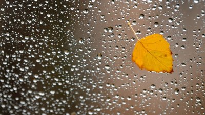 What Is Hydroplaning? Here Are Some Tips for Safe Driving in the Rain in San Diego