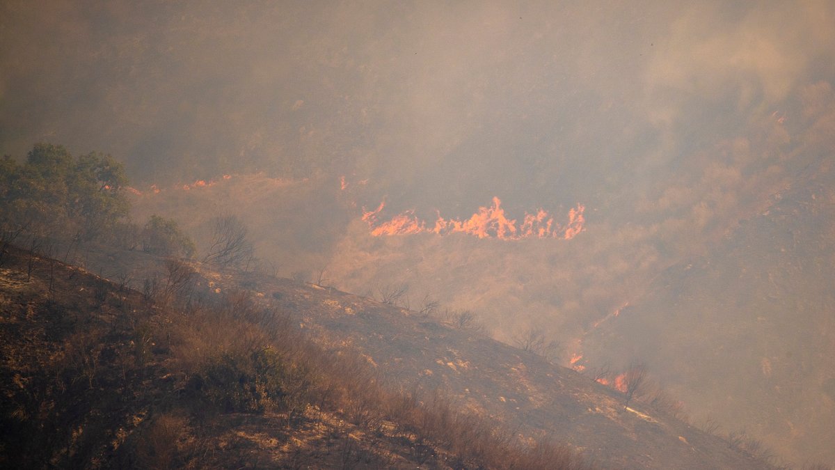 Silverado Fire Containment Increases, Evacuations Lifted – NBC 7 San Diego