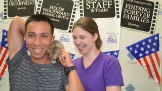 Vincent Benavente adopted his kitten Ice, at a Wags for Warriors event/
