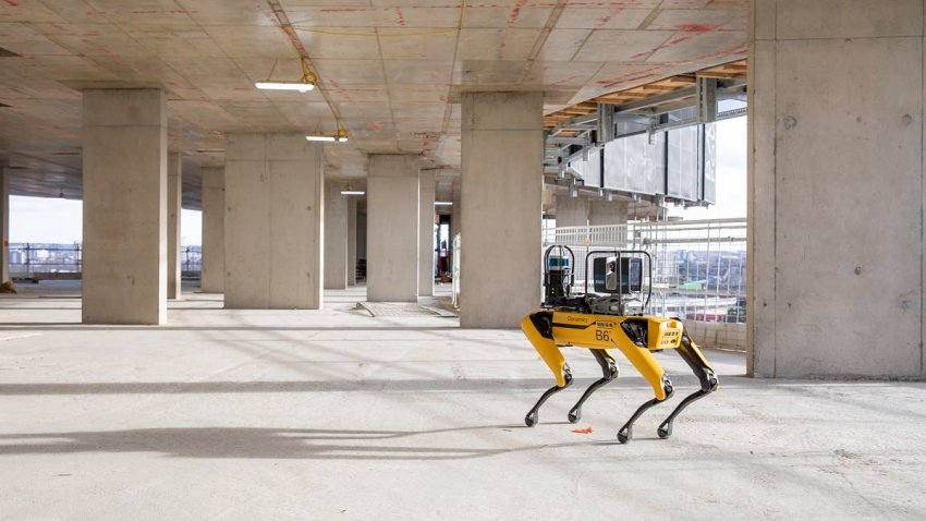 Dr. Spot, the Robot Dogtor, Might Be the Future of Health Care
