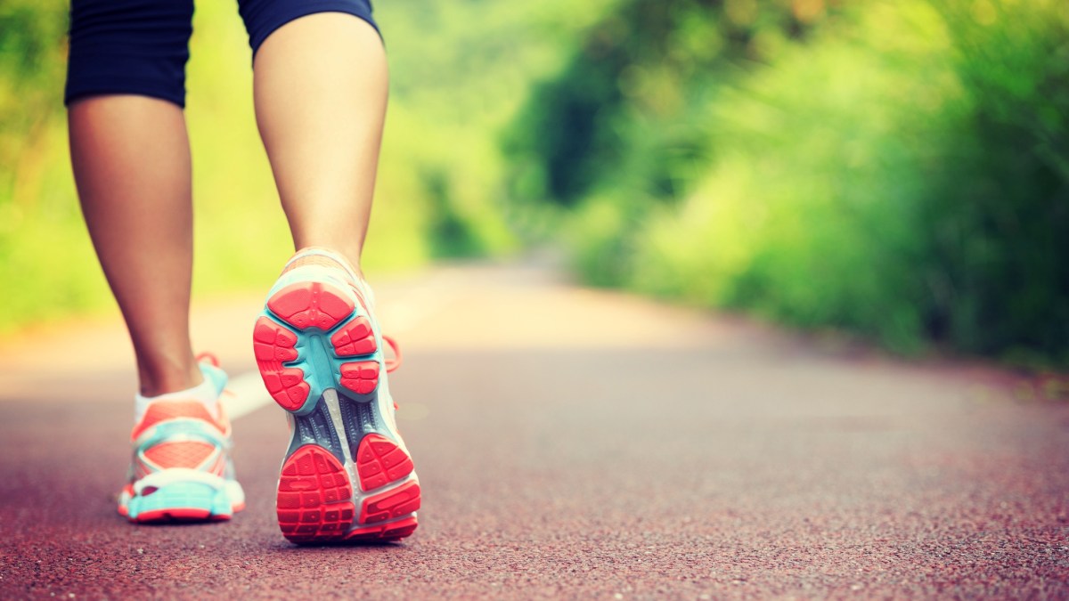 San Diego Regional Chamber of Commerce Begins Get Fit San Diego Challenge - Vimarsana News