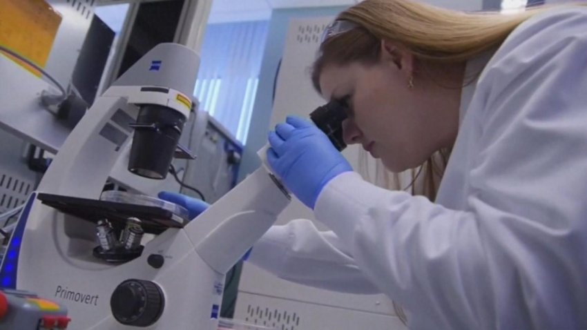 COVID-19 Immunity: How Long Do Antibodies Last?