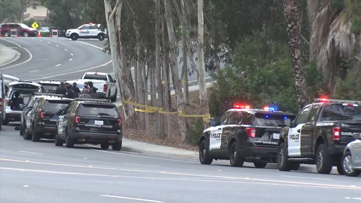 Police ID Woman Found Stabbed to Death on Carlsbad Hiking Trail – NBC 7 ...