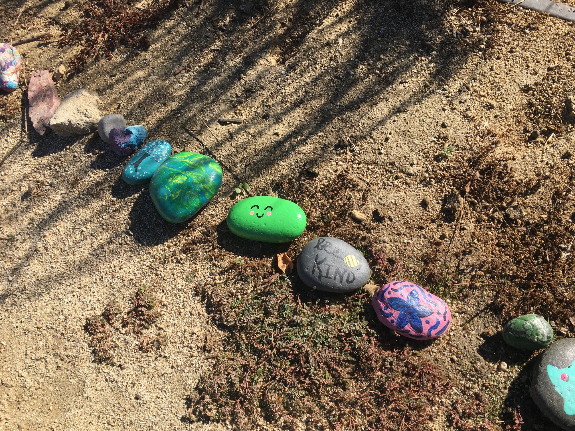 COVID 19 Rock Snake Shares Messages Of Hope And Unity Along Santee   Santee Rock Snake6 