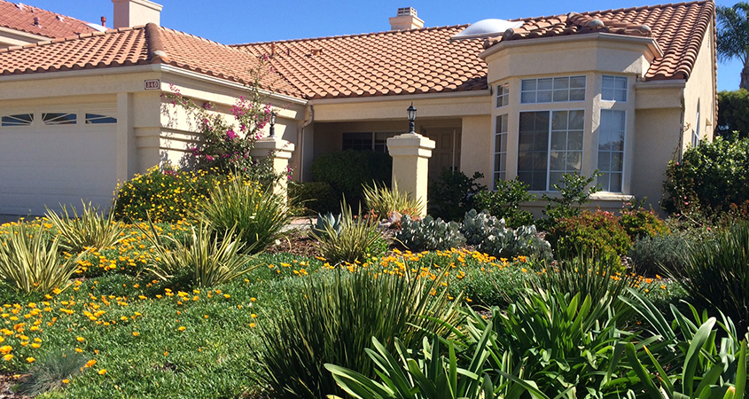 Homeowners Can Apply For Rebates to Transform Their Landscape. Here's How - NBC San Diego