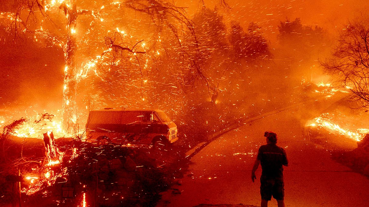 Could Fighting California Wildfires Actually be Making Them Worse? - Vimarsana News